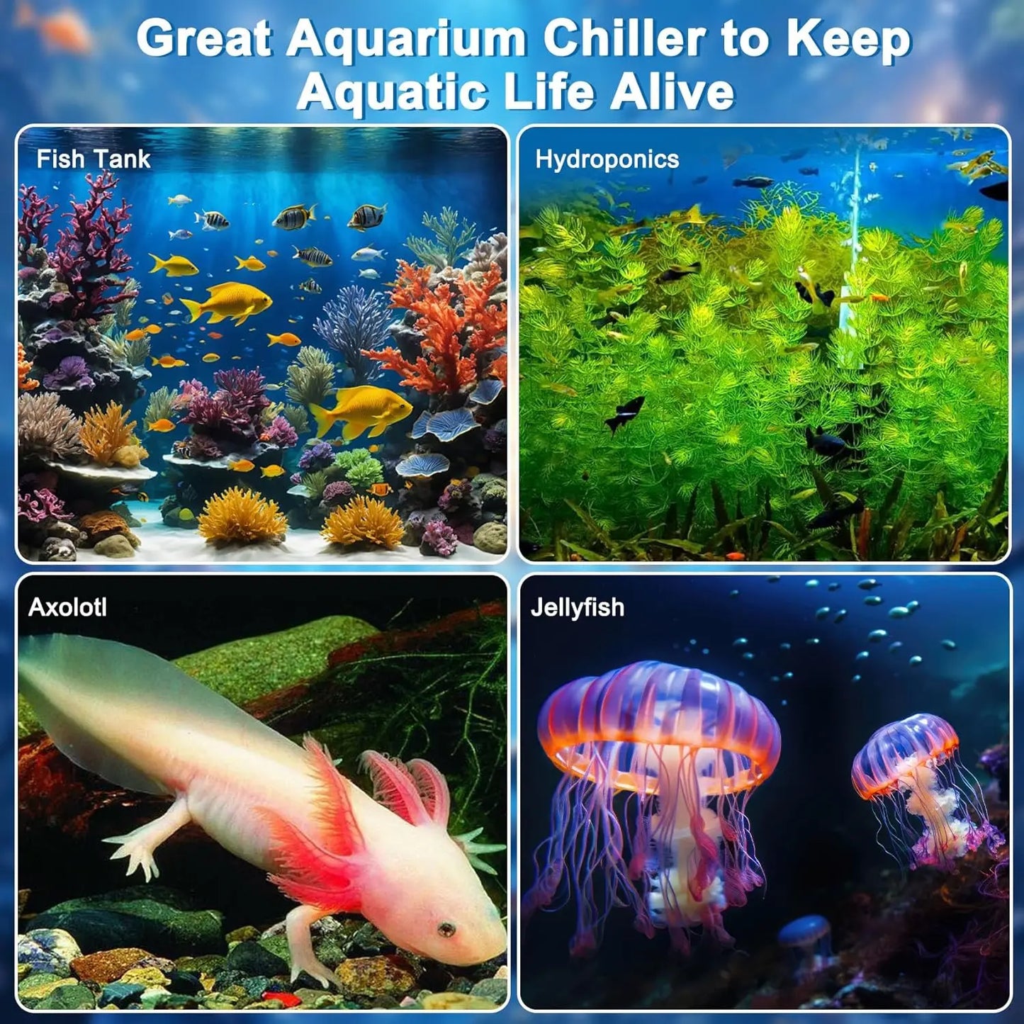 Aquarium Chiller 79 Gal One Third HP Water Cooling System