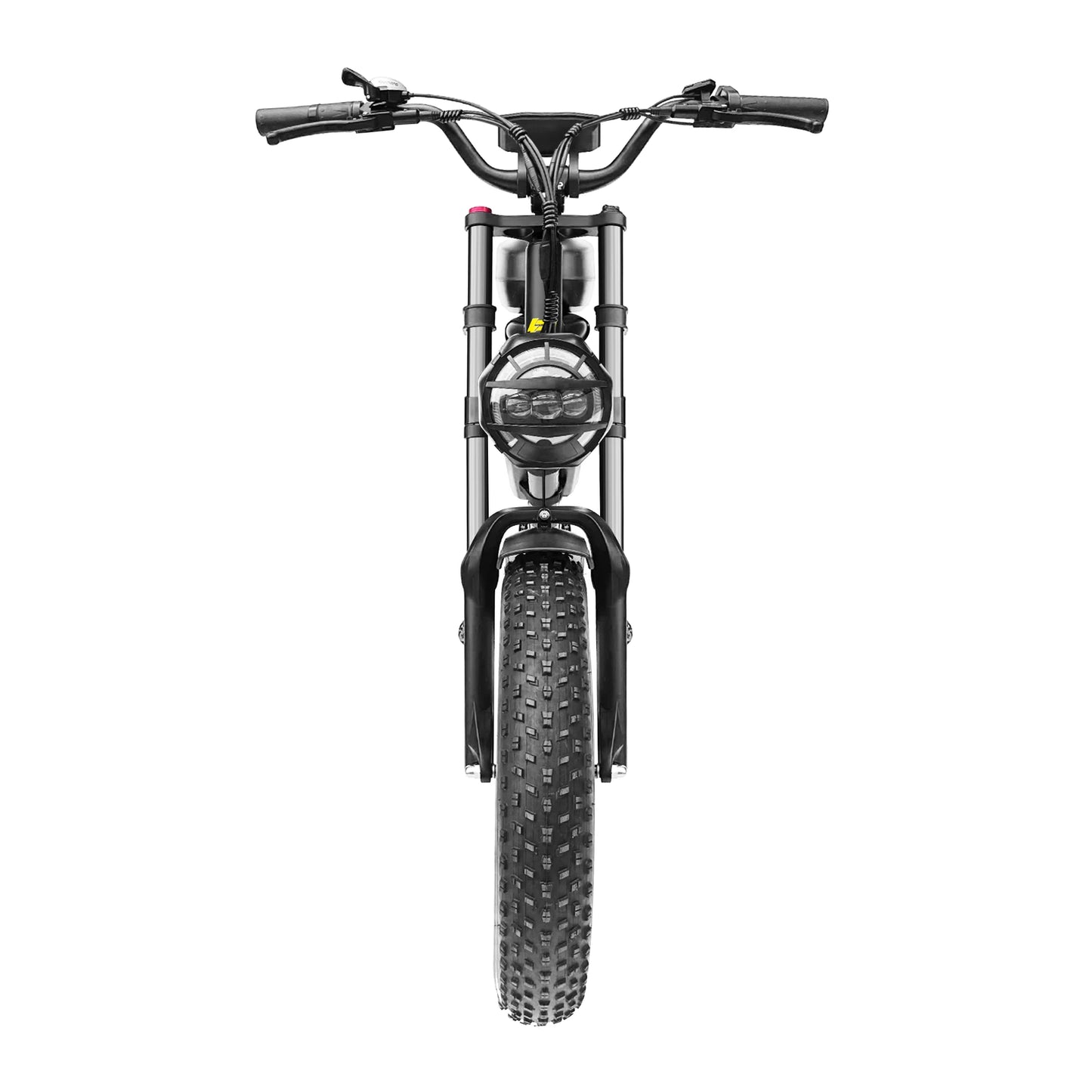 Poleejiek PLJ F4 Dual Motor Electric Bike Fat Tire