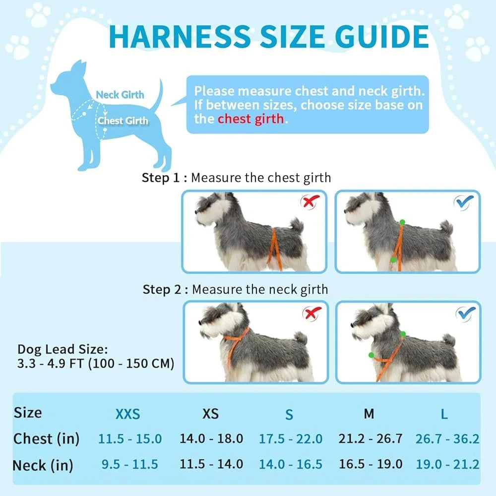 Soft Padded Dog Harness Leash Set Reflective Vest Small Dogs