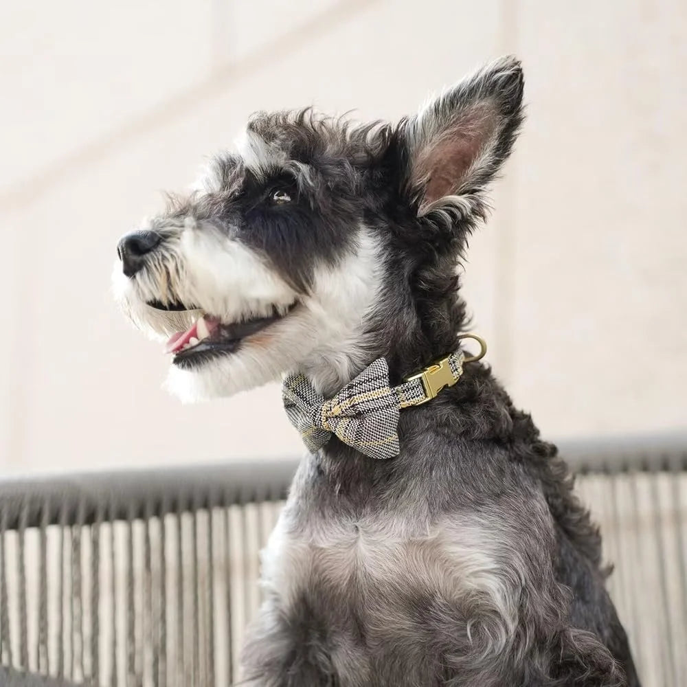 Cute Small Dog Harness Set Soft Plaid Collar Leash Bowtie