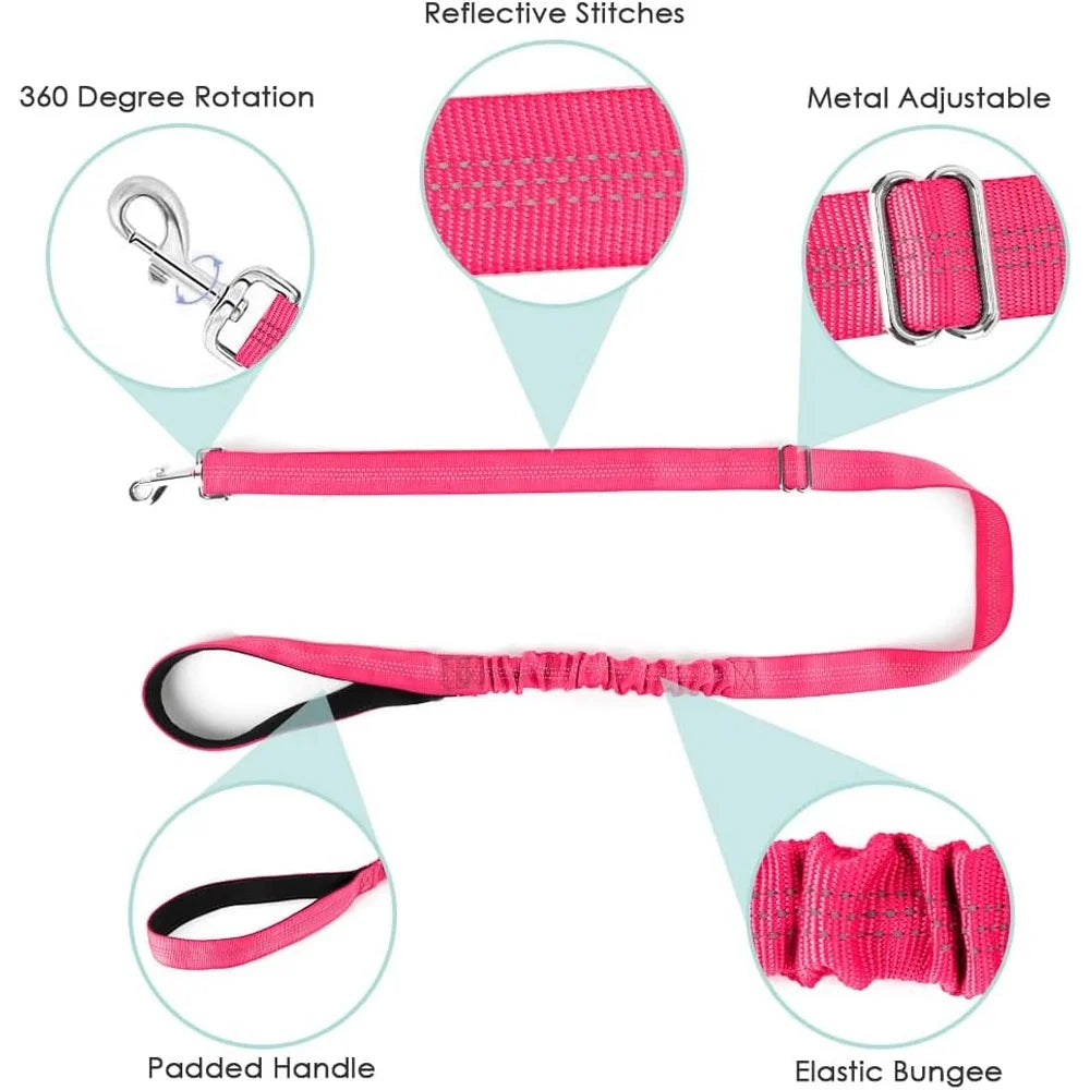 Soft Padded Dog Harness Leash Set Reflective Vest Small Dogs