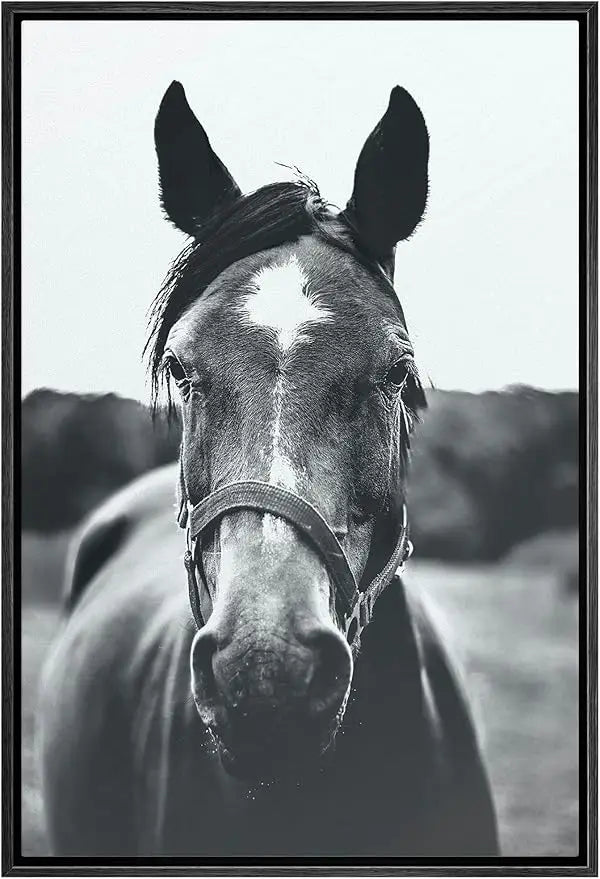 Equine Elegance: High Contrast Black and White Canvas Art, Grey Horse for Living Room Decor