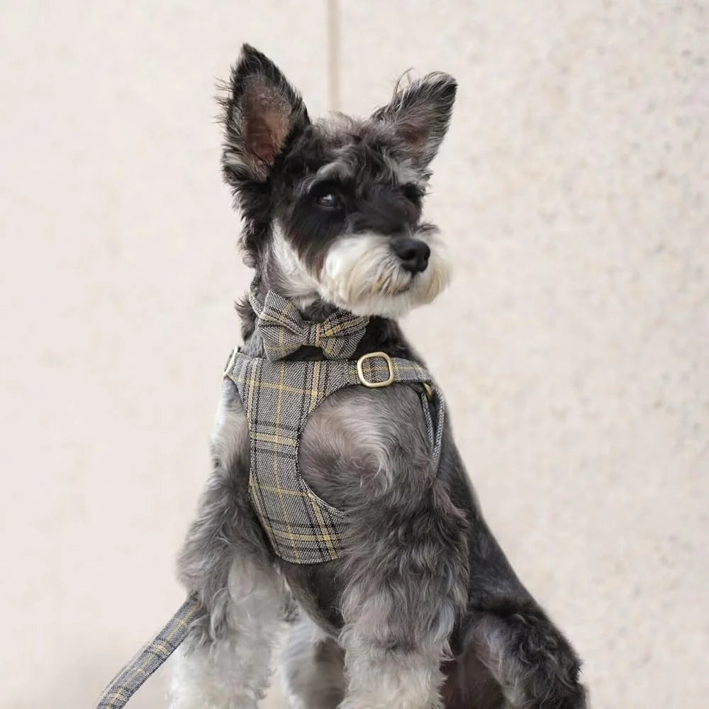 Cute Small Dog Harness Set Soft Plaid Collar Leash Bowtie