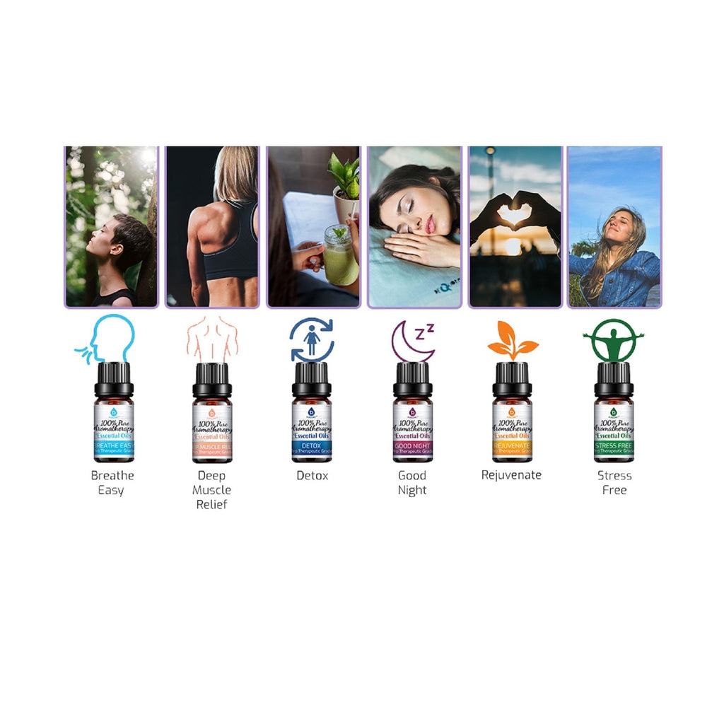 100% Pure Aromatherapy Essential Oils SixPack | DC-PURSONIC