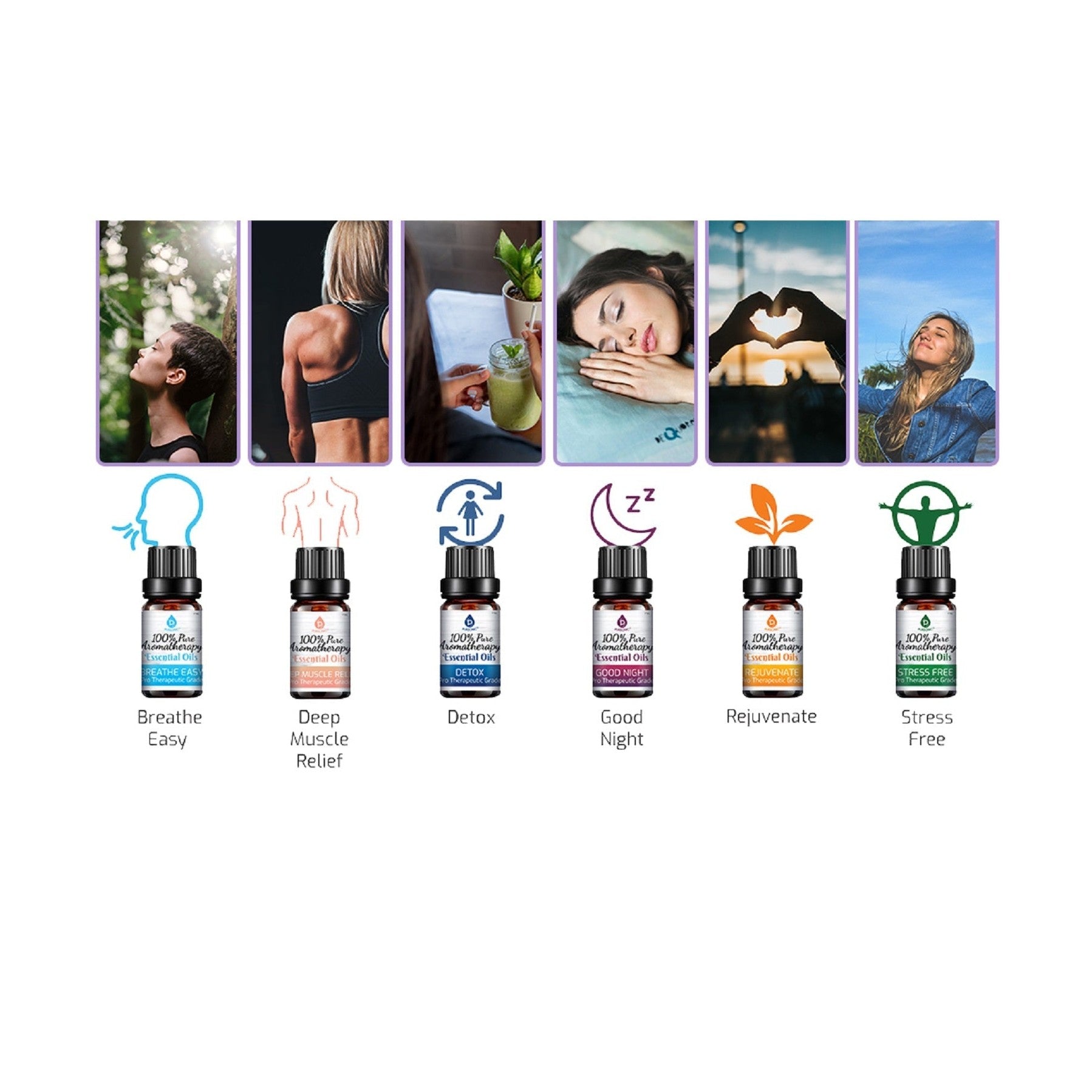 100% Pure Aromatherapy Essential Oils SixPack | DC-PURSONIC