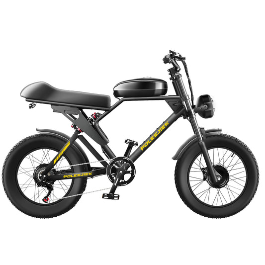 Poleejiek PLJ F4 Dual Motor Electric Bike Fat Tire
