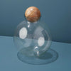 Baylor Spherical Glass Canister