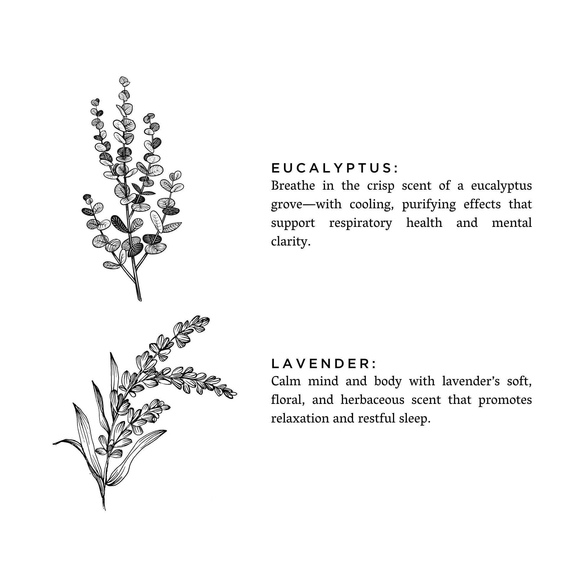 Calming Eucalyptus Lavender Reed Diffuser | DC-Slow North