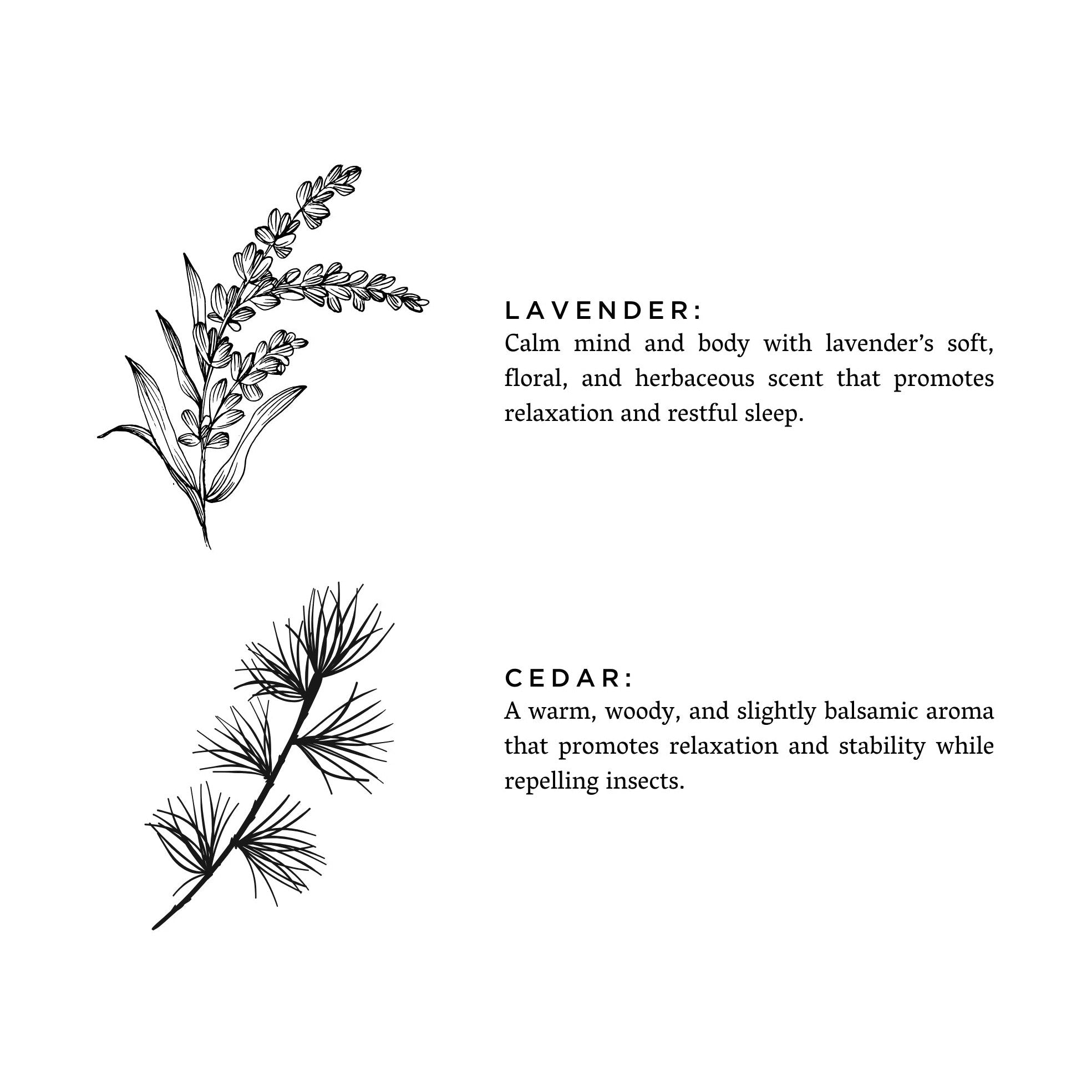 Calming Lavender Cedar Reed Diffuser | DC-Slow North