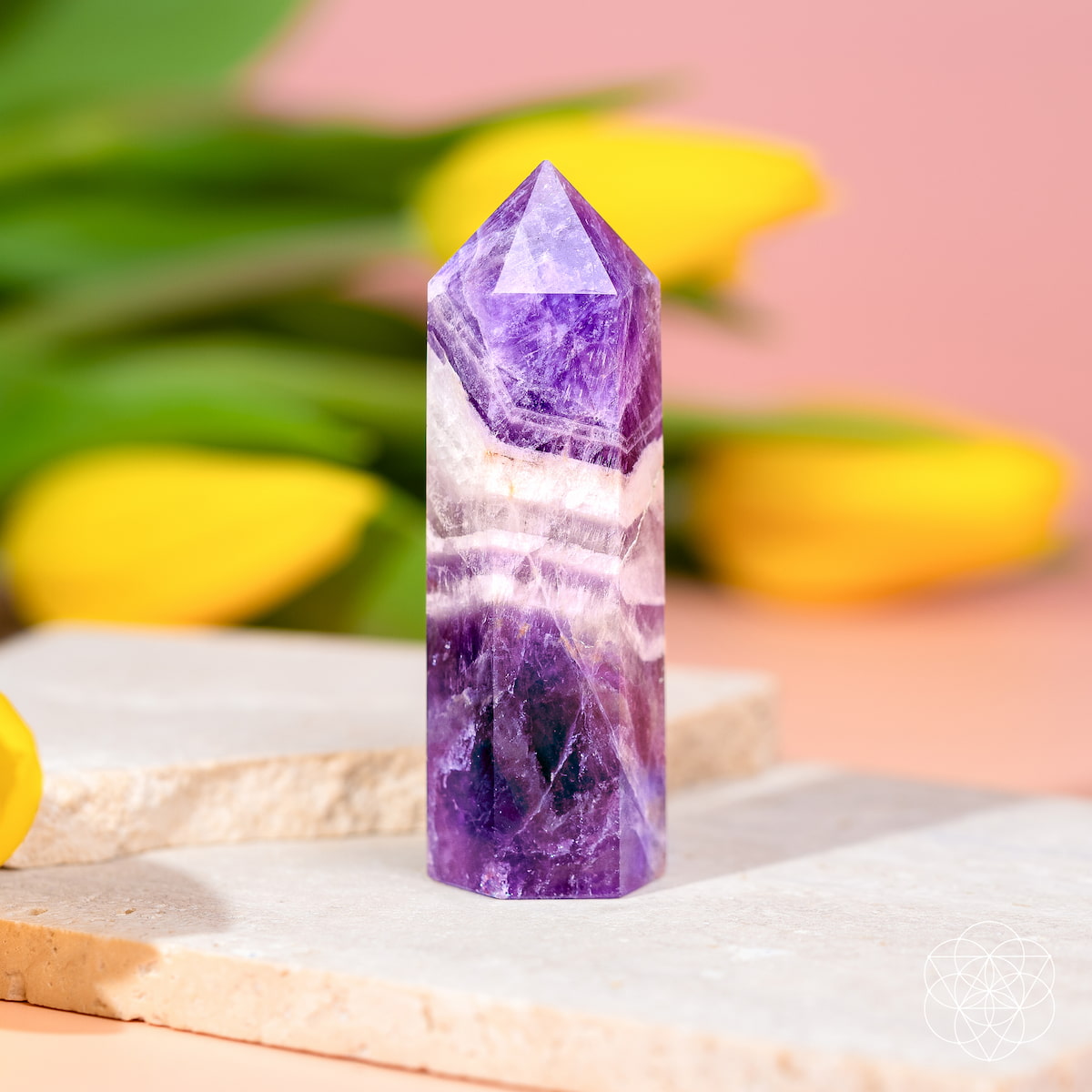 Chevron Amethyst Quartz Point Transformation | Conscious Items