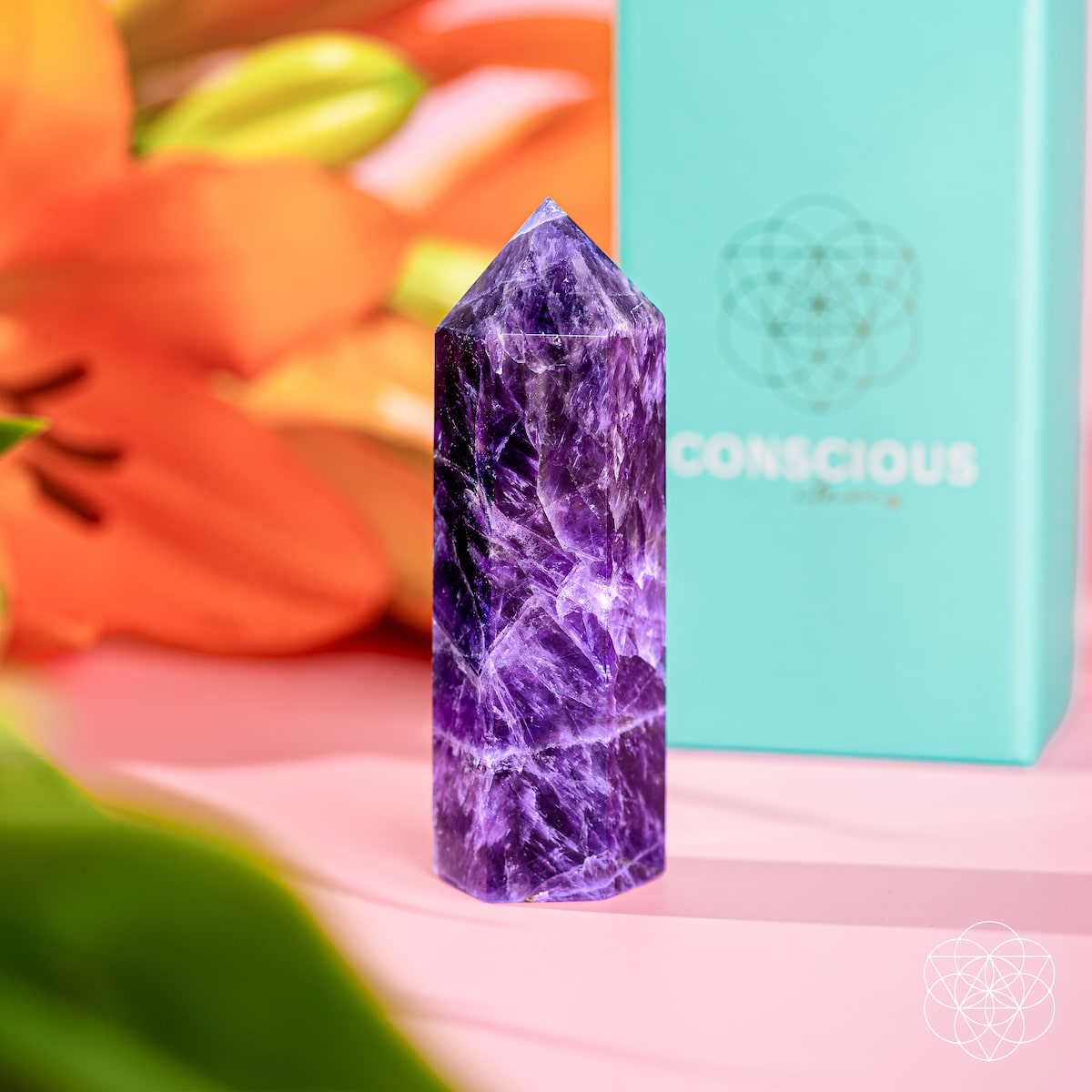 Chevron Amethyst Quartz Point Transformation | Conscious Items