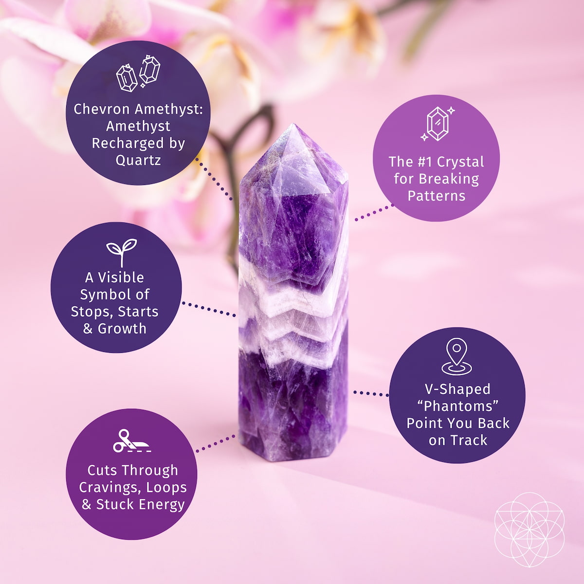 Chevron Amethyst Quartz Point Transformation | Conscious Items
