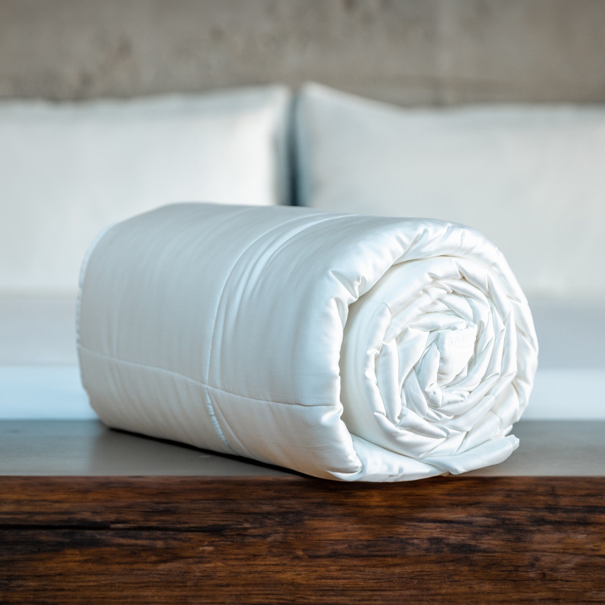 Eucalyptus Silk Cooling Comforter Set For All Season Comfort by ecobrands®