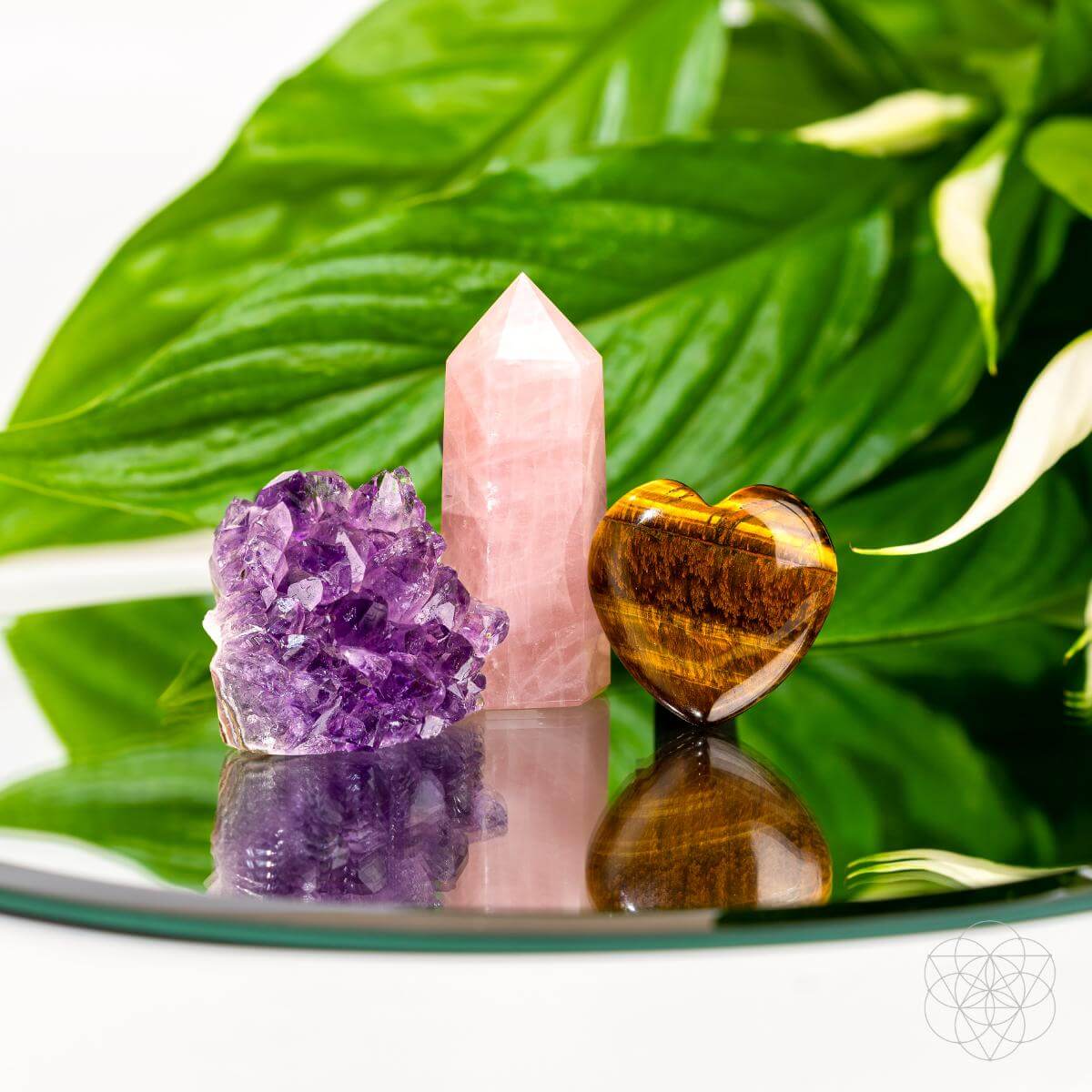 Crystal Quartz Car Kit Set Deluxe | Conscious Items