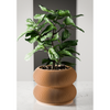 Double BUBBLES Planter