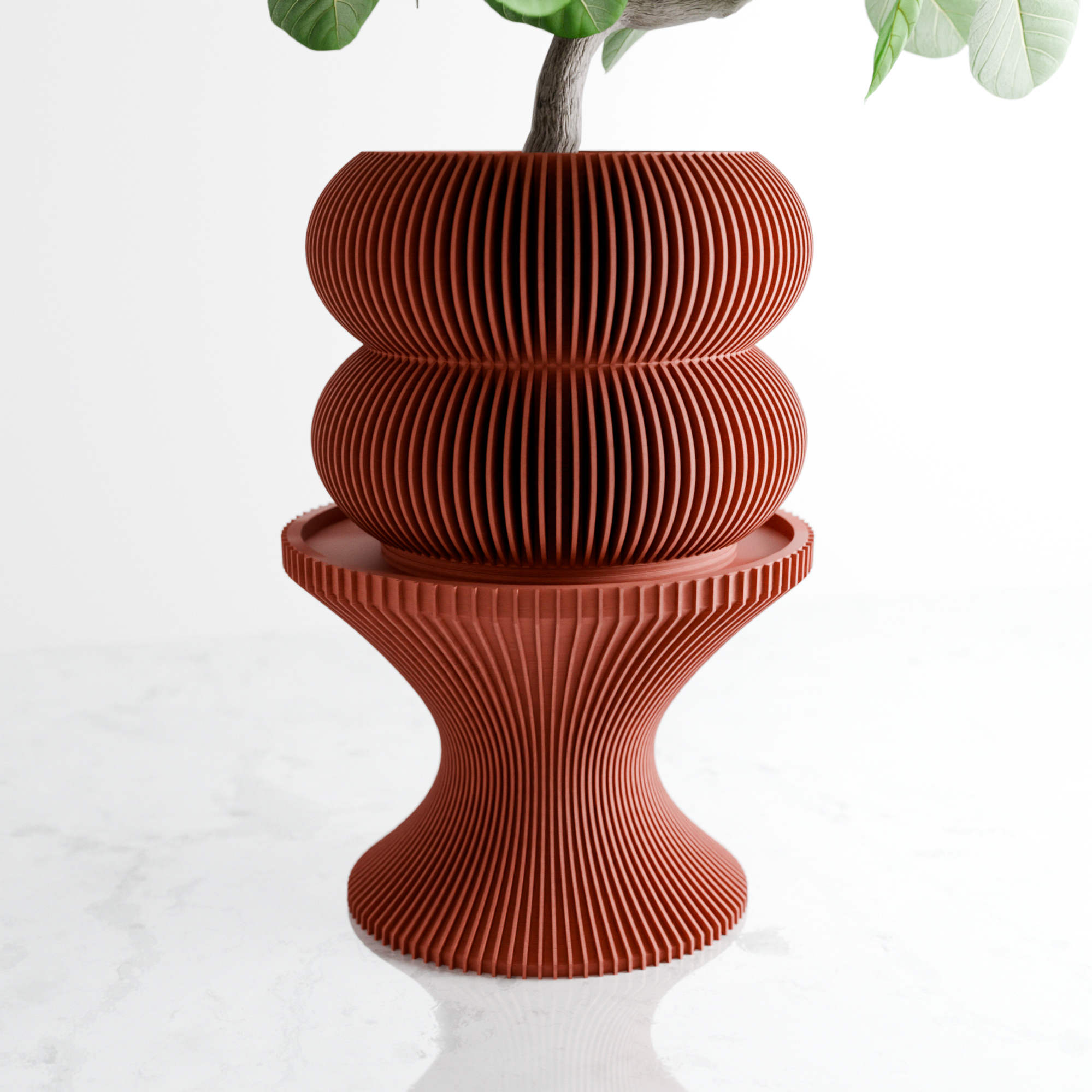 Double BUBBLES Planter