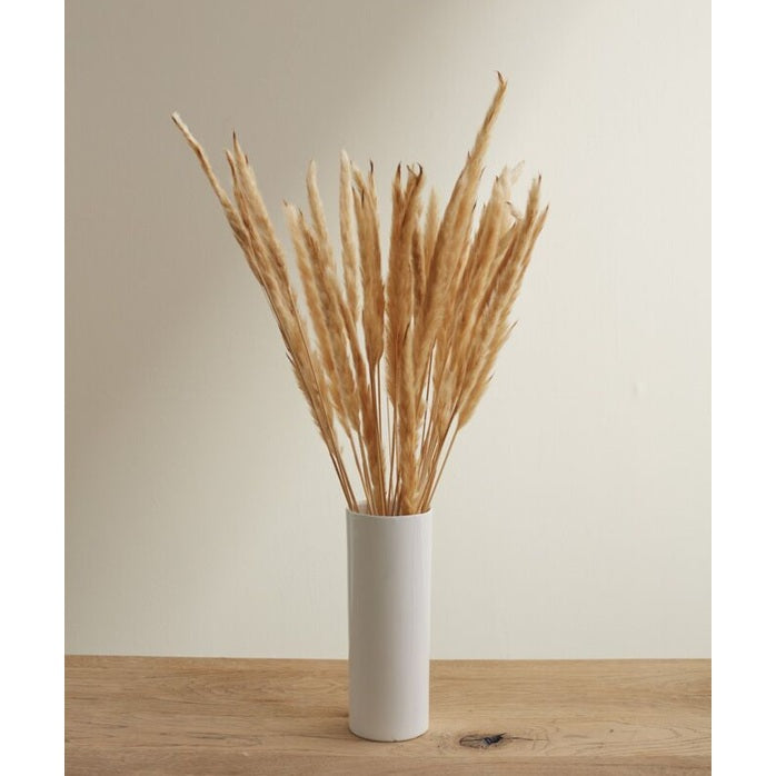 Fluffy Dried Pampas Grass