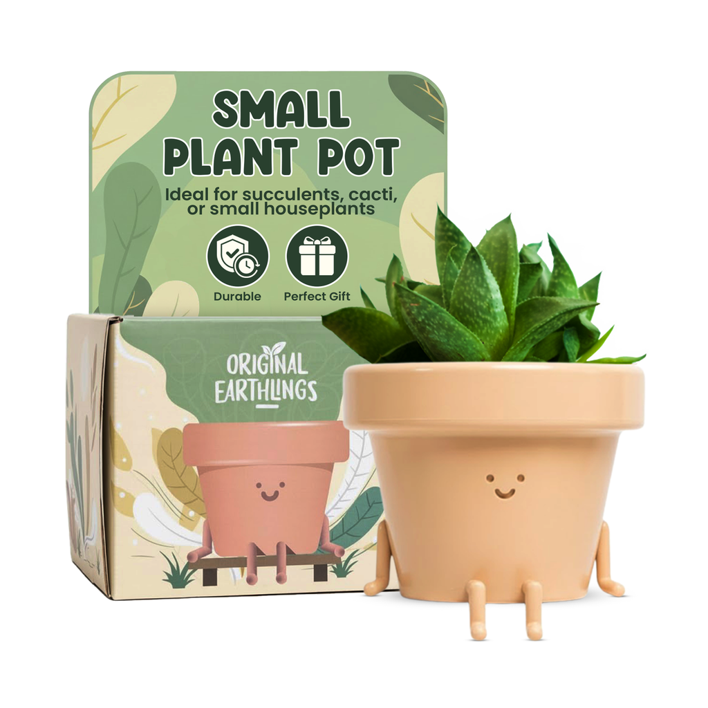 Frankie: Sitting Plant Pot by originalearthlings
