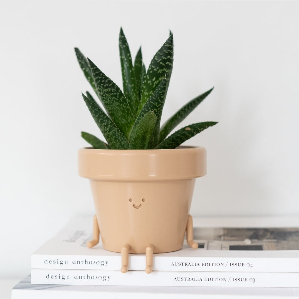 Frankie: Sitting Plant Pot by originalearthlings
