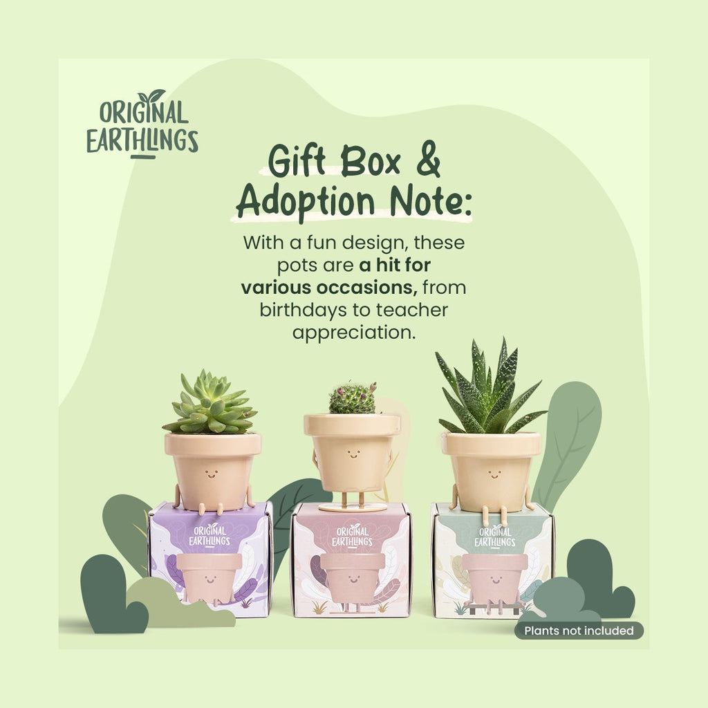 Frankie: Sitting Plant Pot by originalearthlings