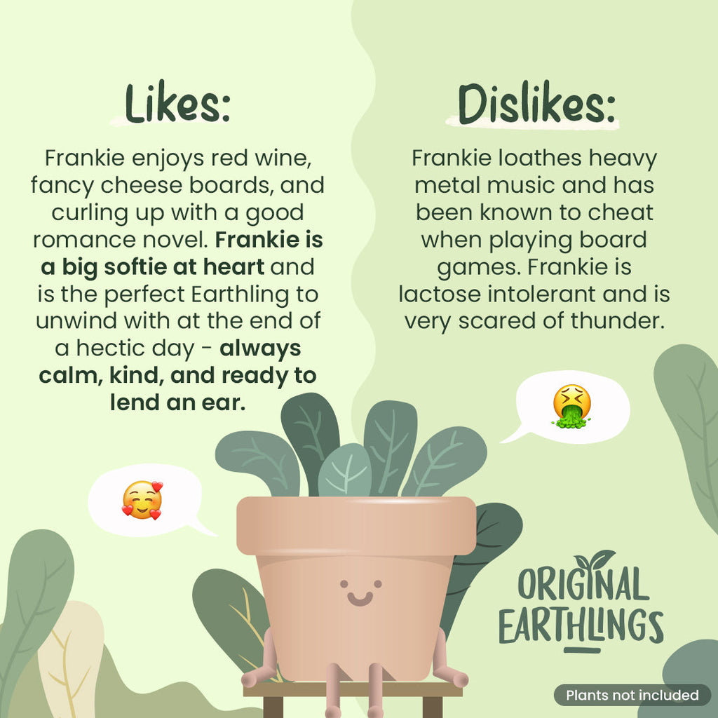 Frankie: Sitting Plant Pot by originalearthlings