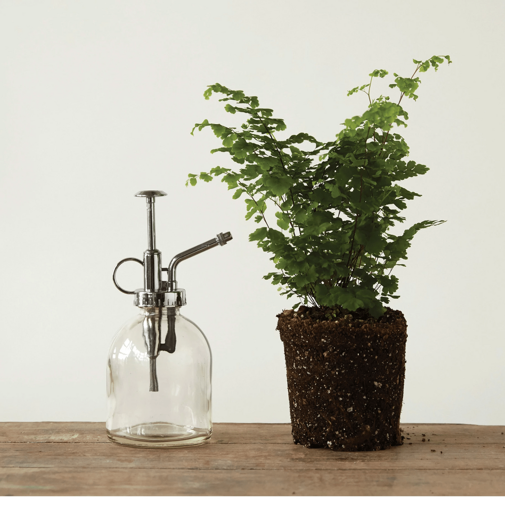 Glass Plant Mister with Silver Pump