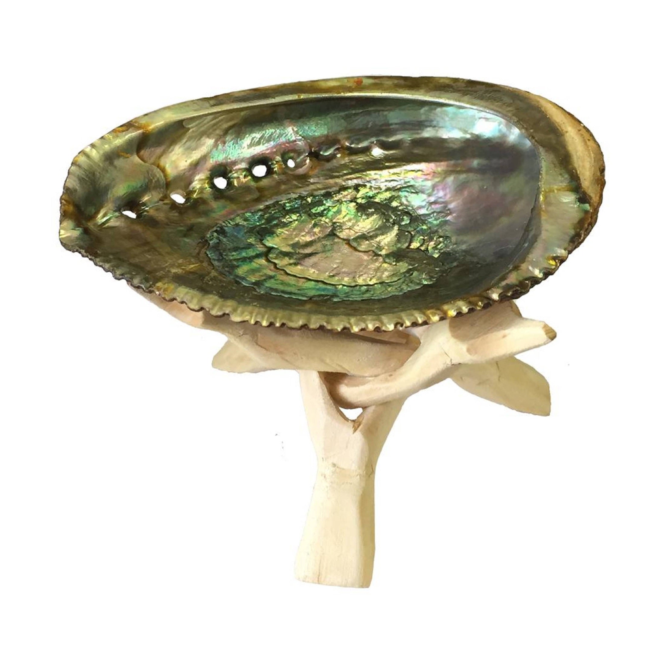 Gleaming Abalone Shell Ashtray Stand Sage | DC-OMSutra