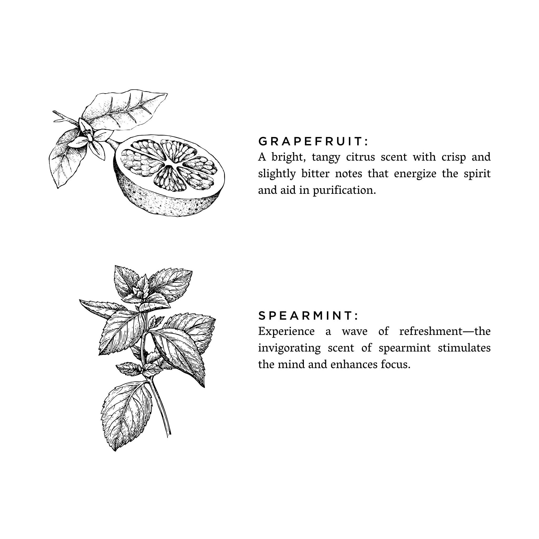 Grapefruit Spearmint Reed Diffuser Aromatherapy | DC-Slow North