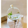 Handmade Botanical Reed Diffuser Long Lasting | DC Candles