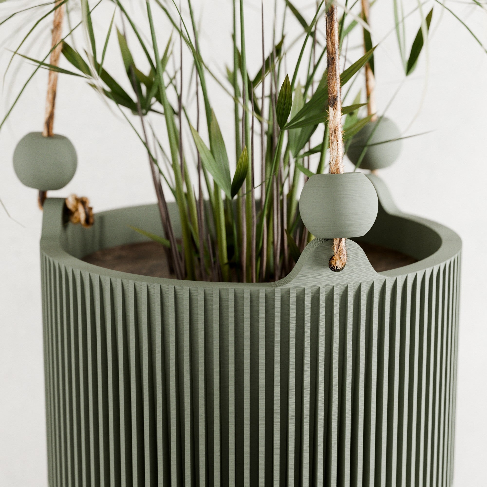 Hanging Sakura Planter