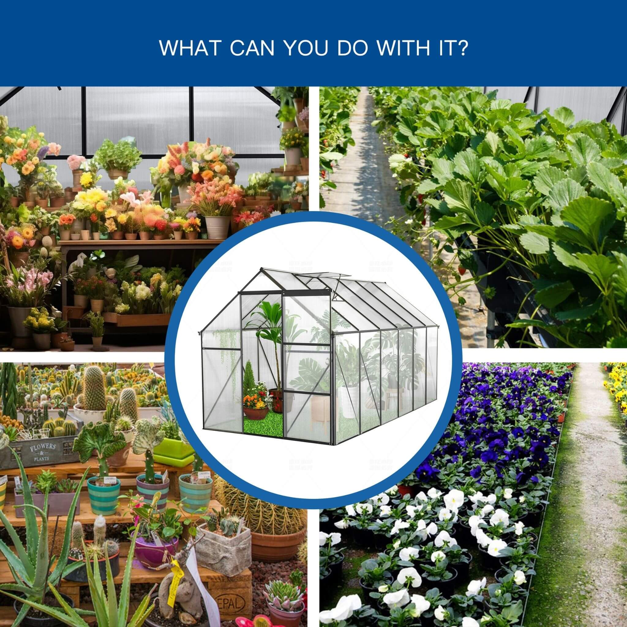 Heavy-Duty Polycarbonate Greenhouse Walk-In Raised-Base | SAKSBY WHOLESALE