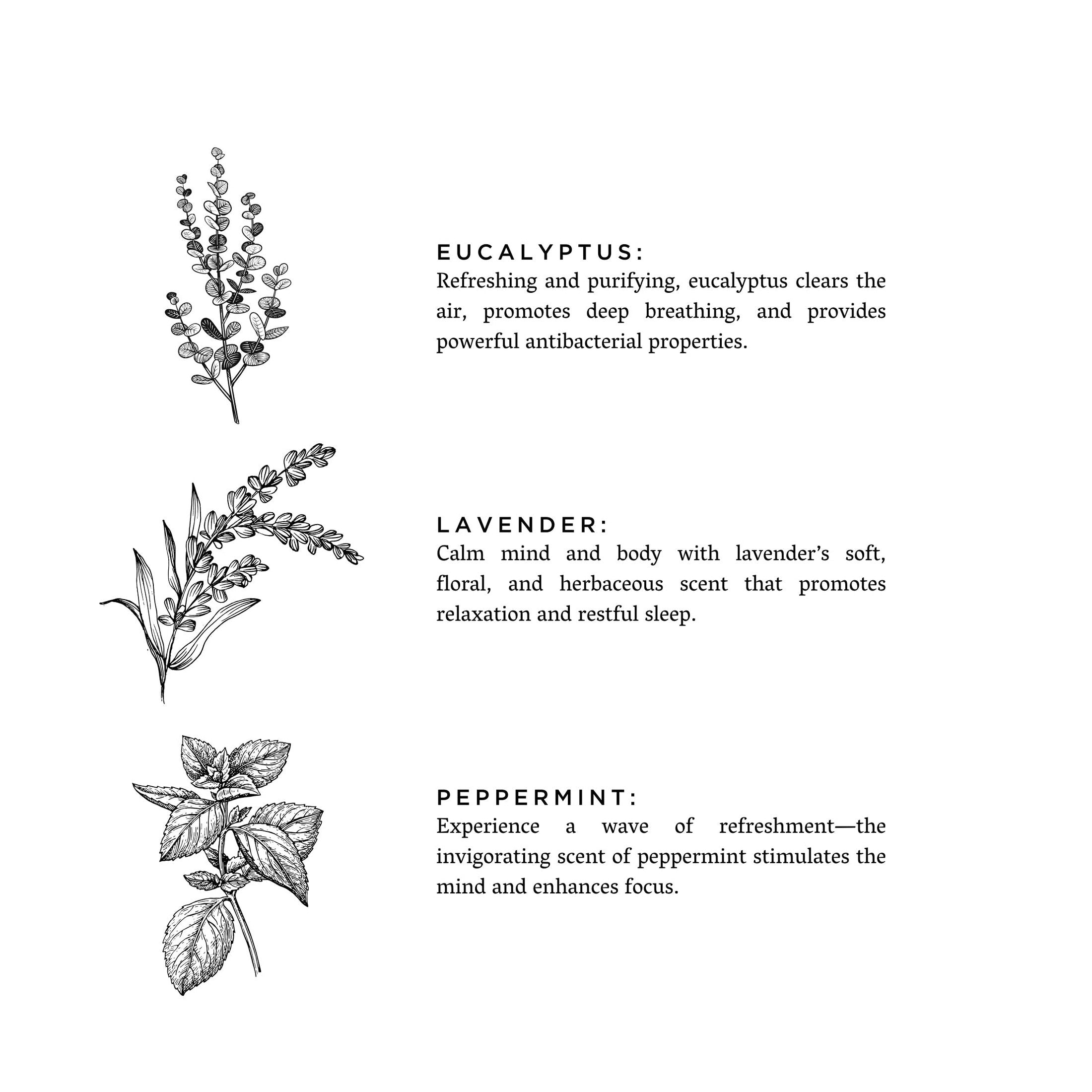 Luxurious Therapeutic Sea Salt Bath Blend | DC-Slow North