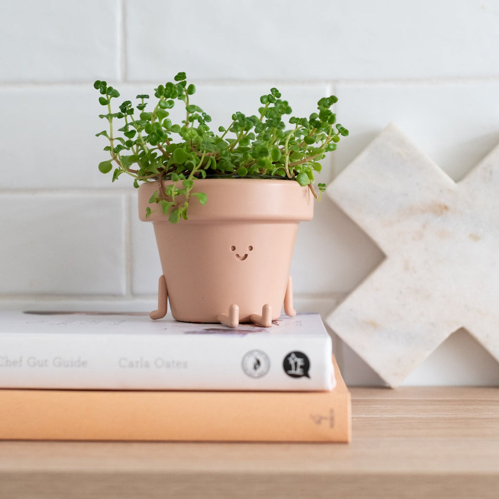 Nicky: Legs Out Plant Pot by originalearthlings