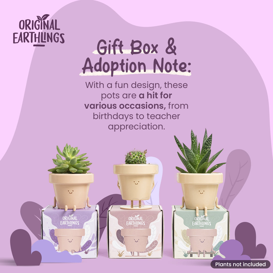 Nicky: Legs Out Plant Pot by originalearthlings