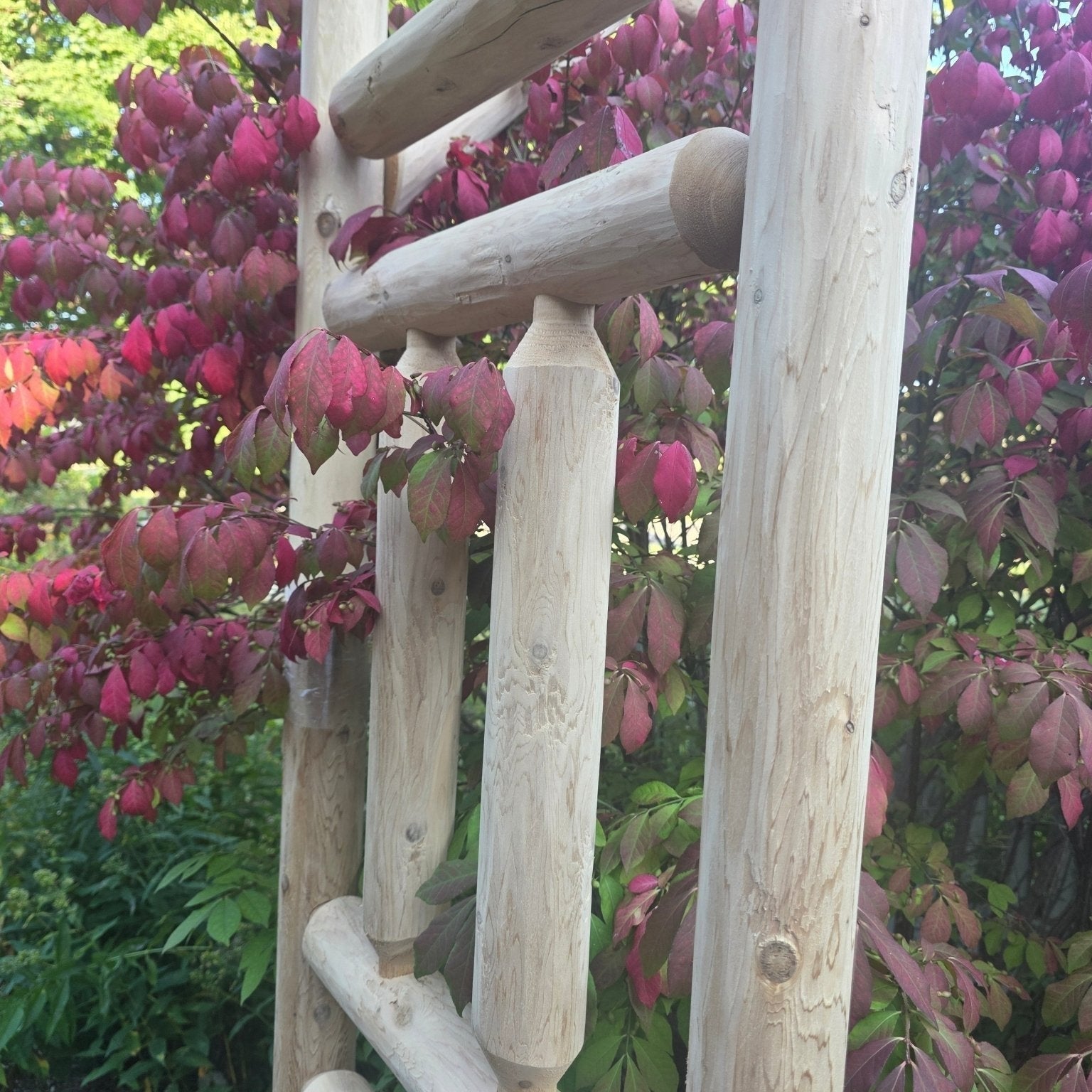 Outdoor Wooden Arbor