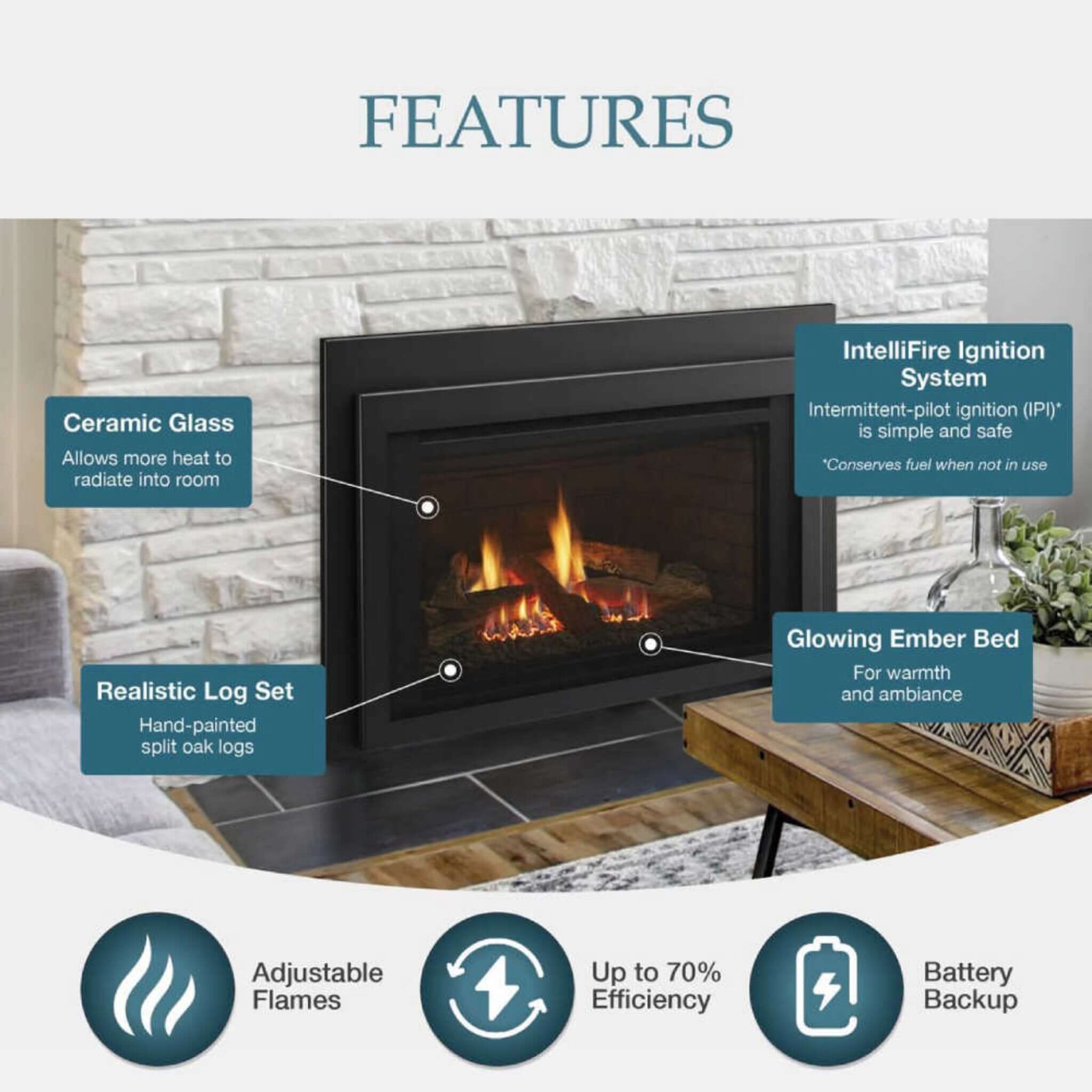PremiumIlluminatedDirectVentGasInsertWithFieryShowcaseEnergySaver | SAKSBY WHOLESALE