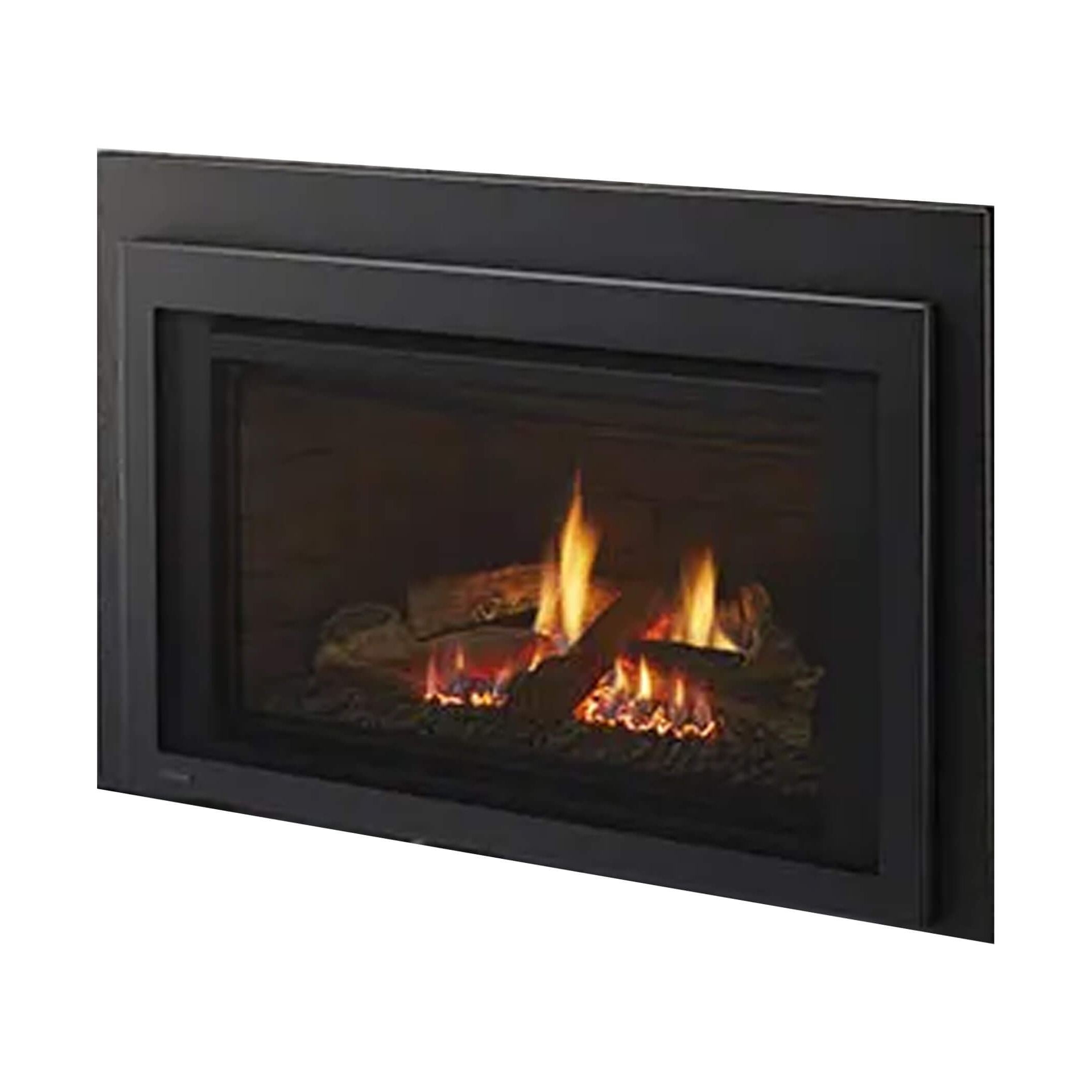 PremiumIlluminatedDirectVentGasInsertWithFieryShowcaseEnergySaver | SAKSBY WHOLESALE