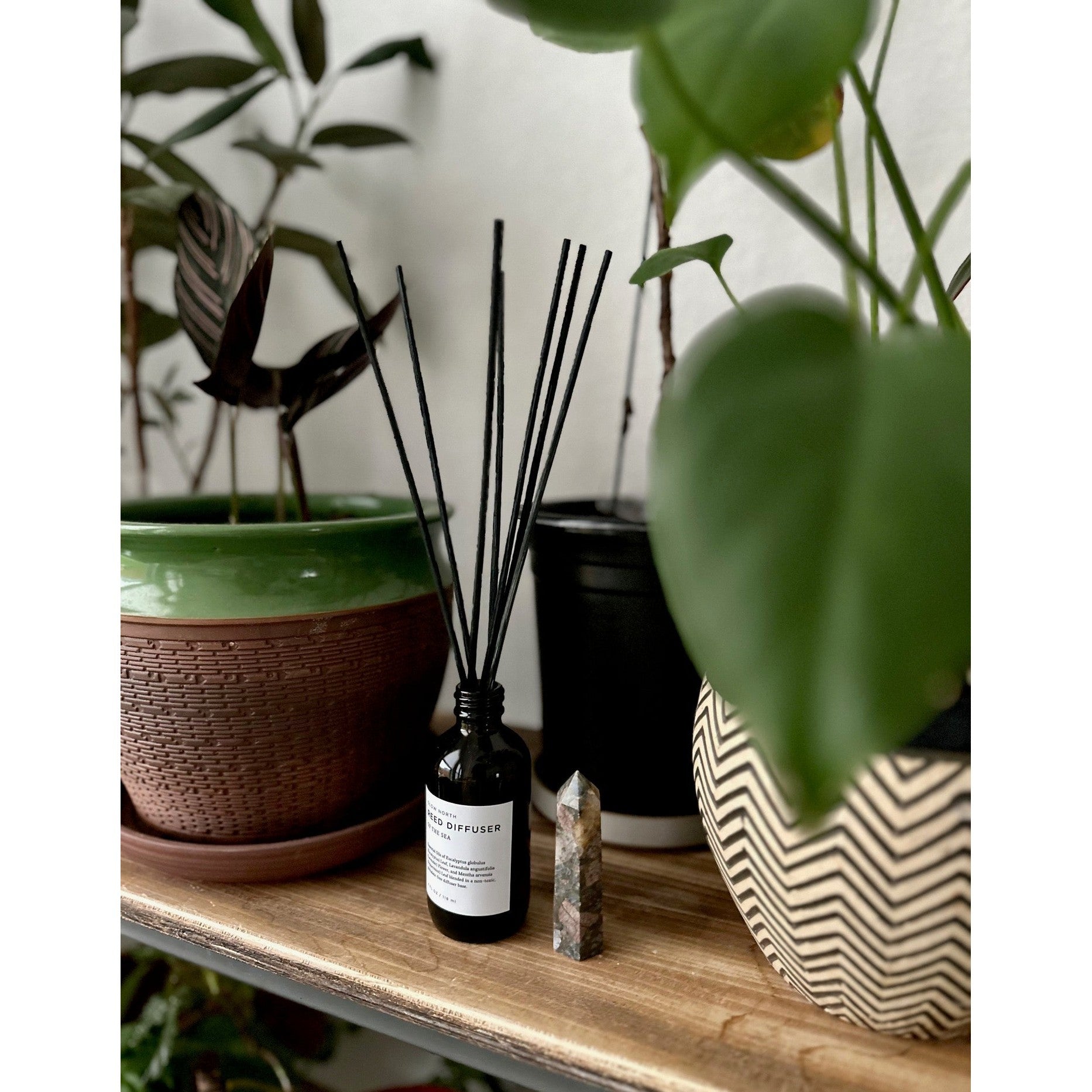 Purifying Ocean Breeze Reed Diffuser | DC-Slow North