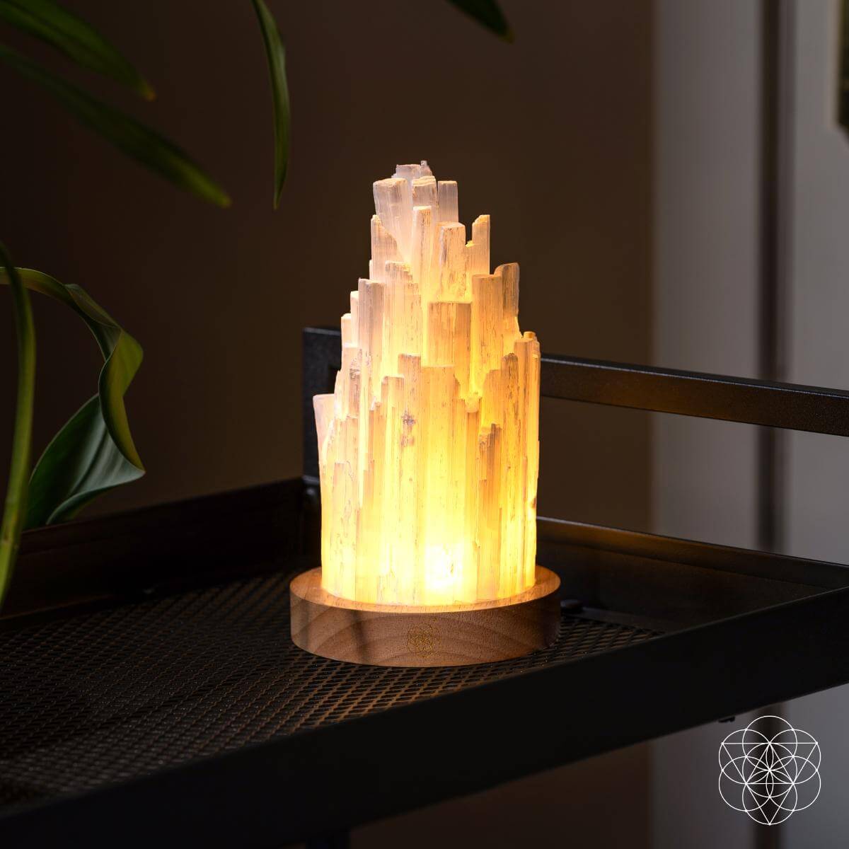 Radiant Selenite Crystal Lamp Meditation Glow | Conscious Items