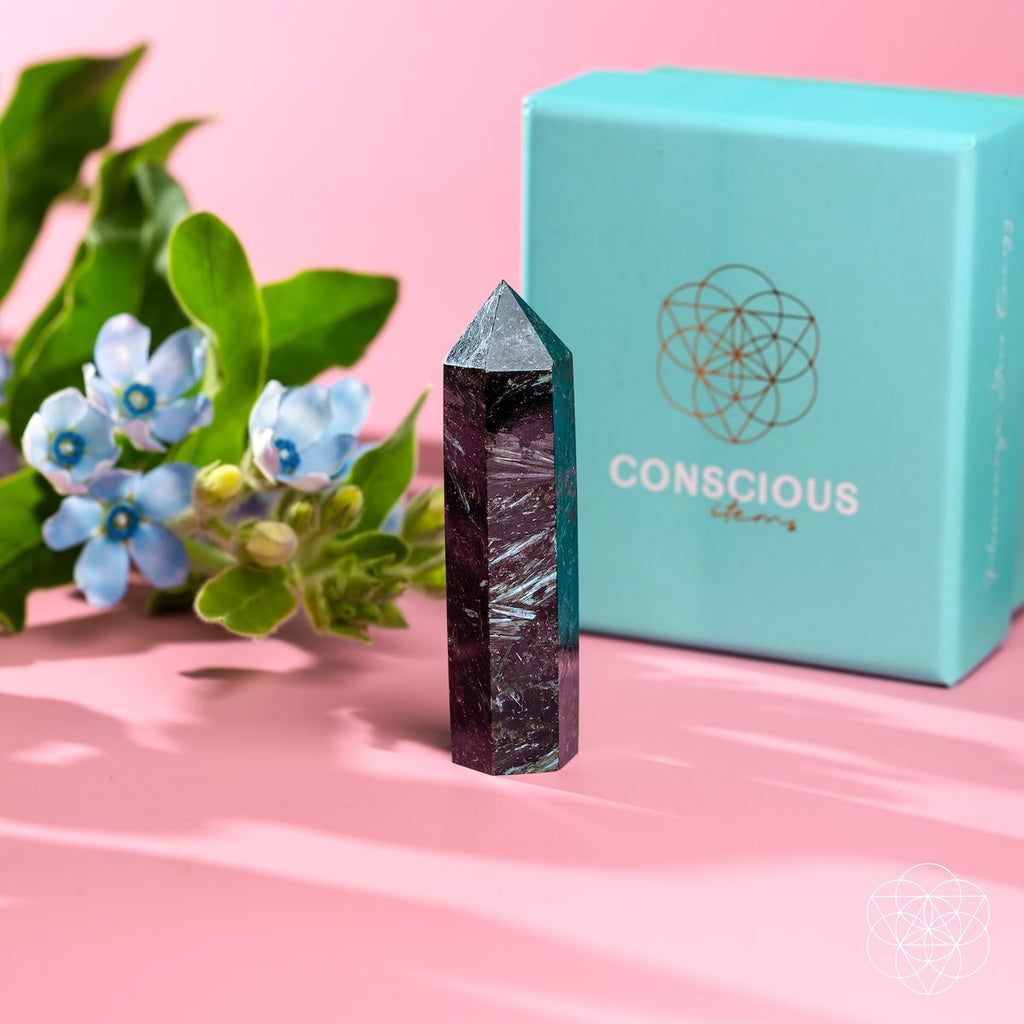 Rare Arfvedsonite Energy Point Crystal | Conscious Items