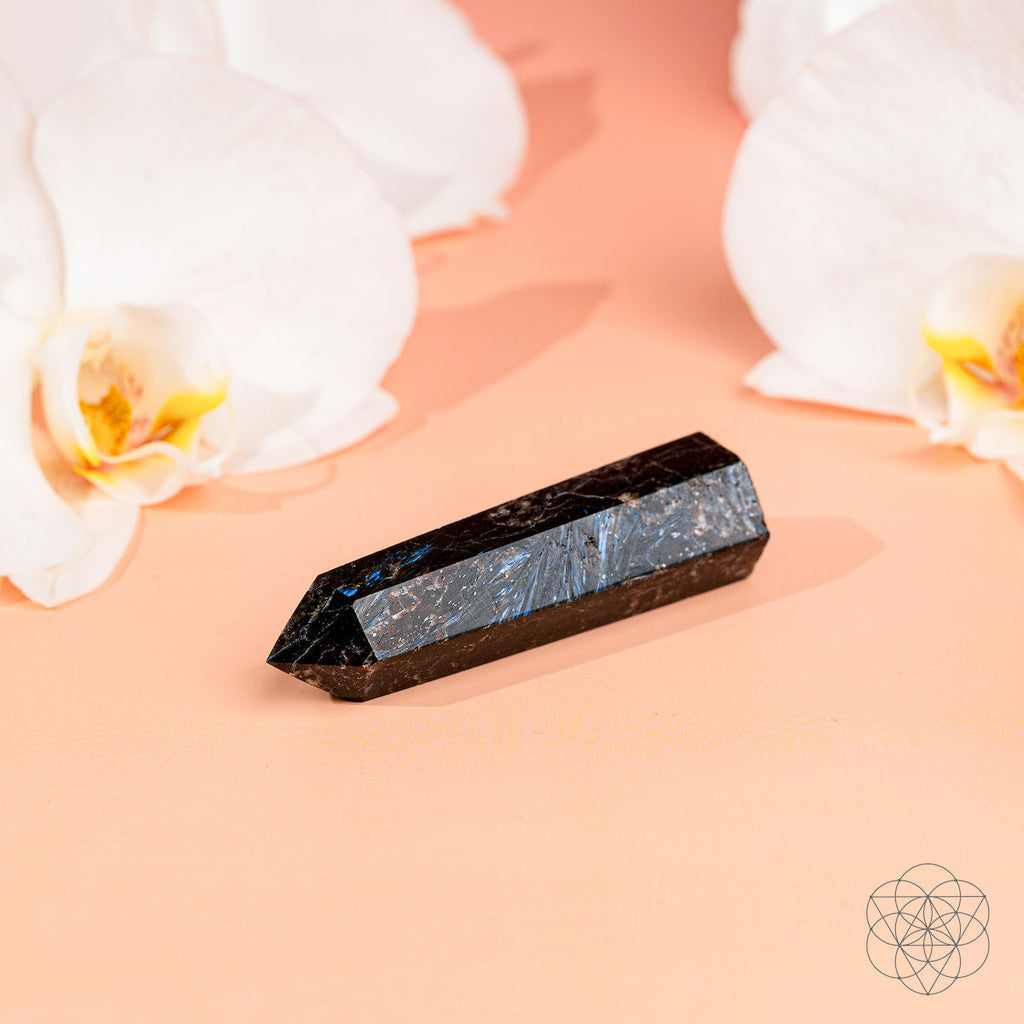 Rare Arfvedsonite Energy Point Crystal | Conscious Items