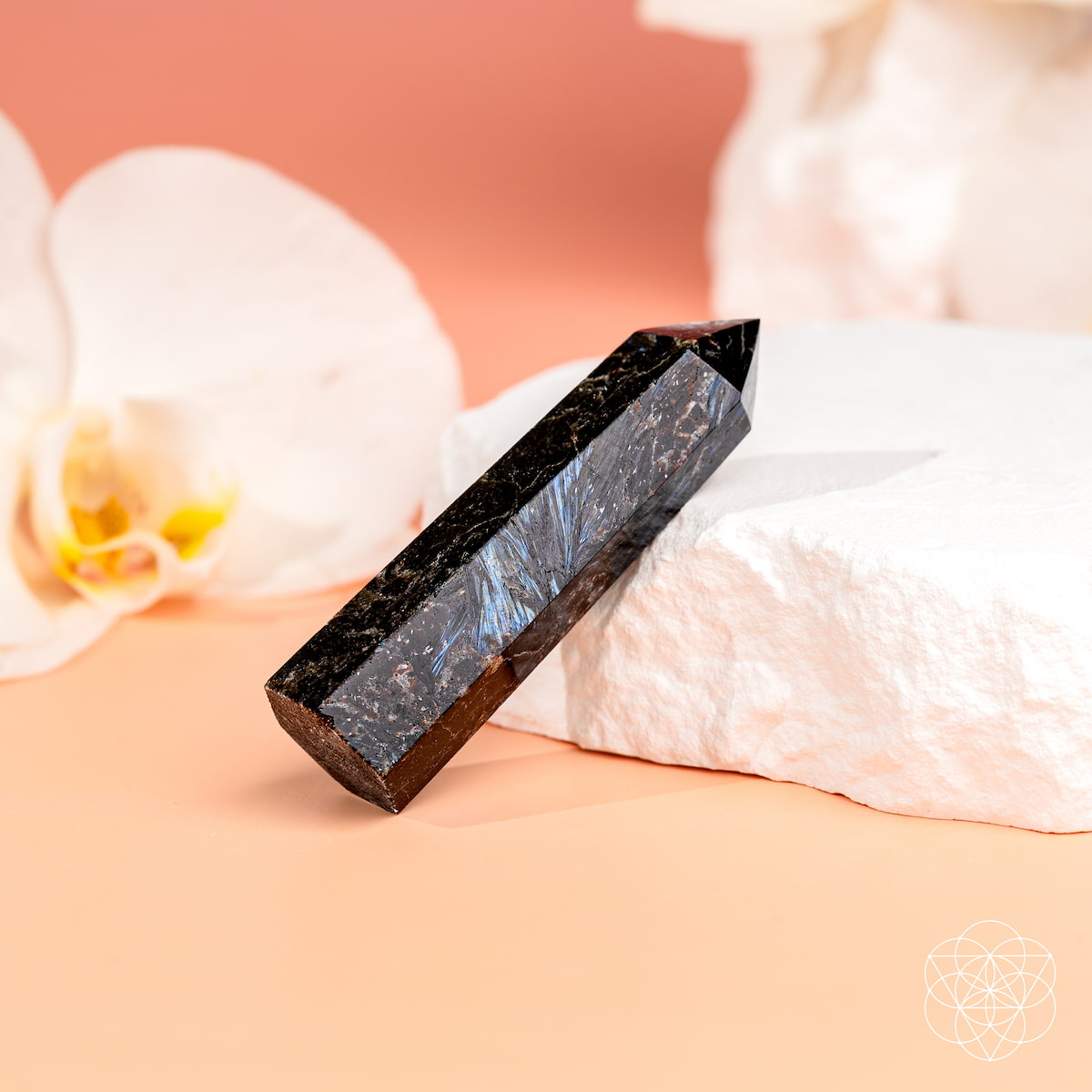 Rare Arfvedsonite Energy Point Crystal | Conscious Items