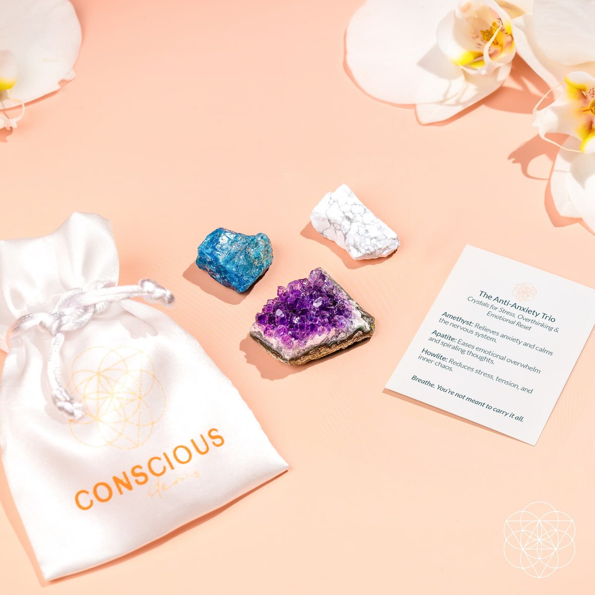 Raw Amethyst Crystal Trio Stones Bundle | Conscious Items