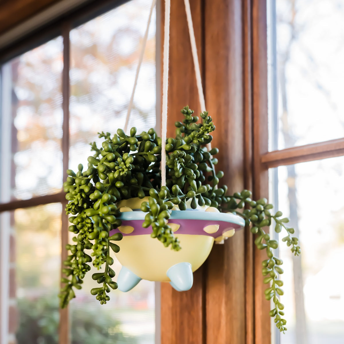 Rosie: UFO Hanging Plant Pot by originalearthlings