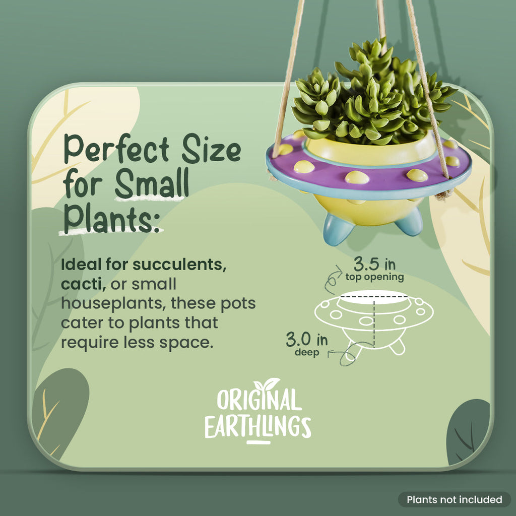 Rosie: UFO Hanging Plant Pot by originalearthlings