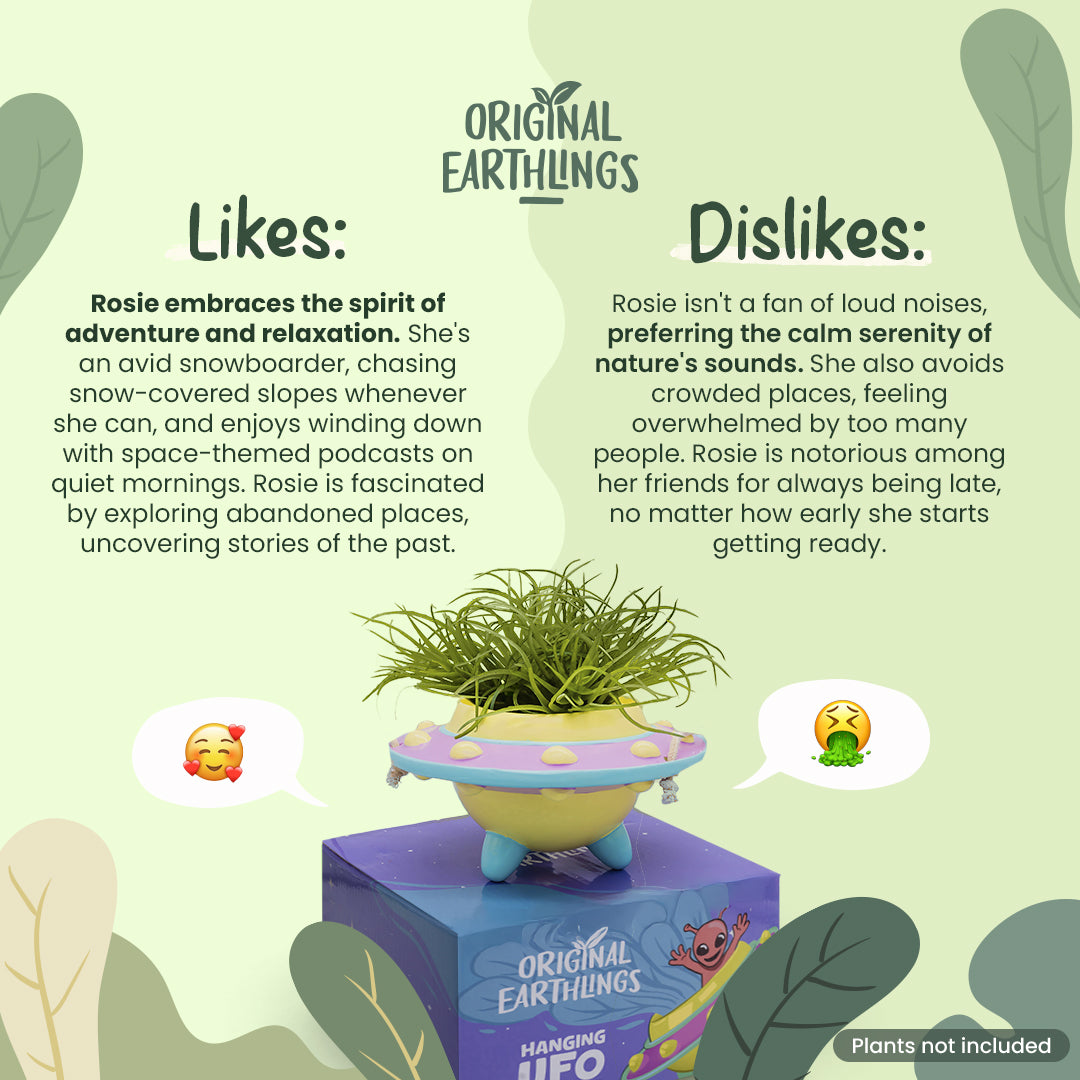 Rosie: UFO Hanging Plant Pot by originalearthlings