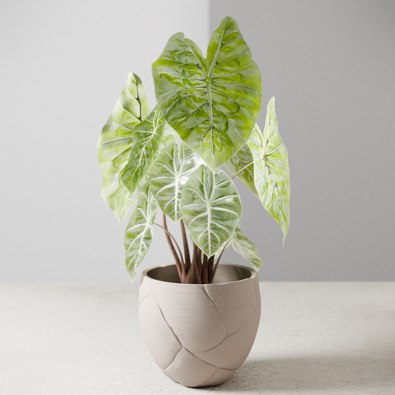 Rugged Modern Textured Planter Medium | Modernized Pottery