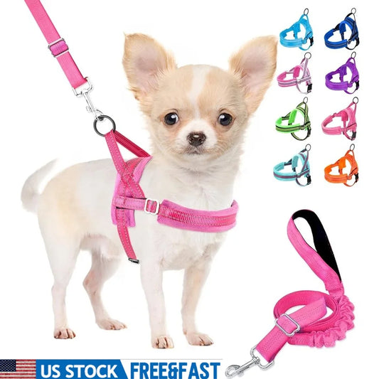 Soft Padded Dog Harness Leash Set Reflective Vest Small Dogs