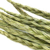 Sacred Sweet Grass Smudging Braided Strands | DC-OMSutra