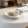 Tide Pool Platter Concrete Ocean Stone Centerpiece by Patrick Cain Designs